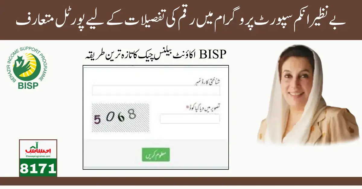 Benazir Income Support Program Check Account Balance Online 