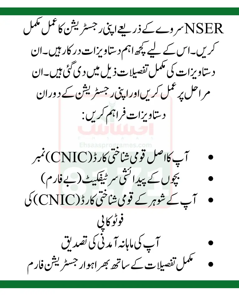 Benazir 10500 Registration By NSER Survey