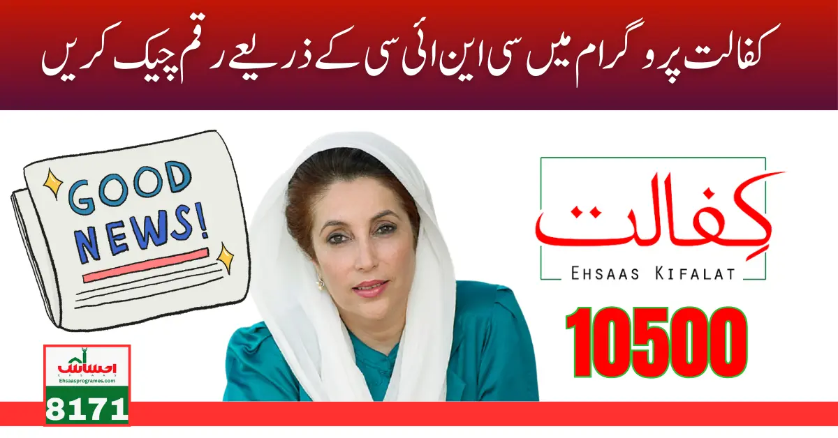 Benazir Kafaalat Program Check Your Balance of 10500 via 8171 SMS Code June 2024 Update